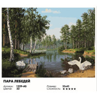 Пара лебедей