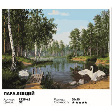 Пара лебедей Пара лебедей